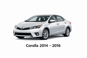 ChatGPT Image Jan 30, 2026, 09_39_39 PM